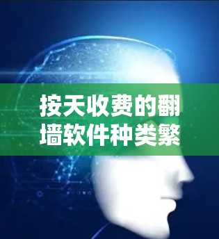 按天收费的翻墙软件种类繁多，各有其适用于不同用户的需求。以下是一些推荐，帮助用户选择最适合的解决方案