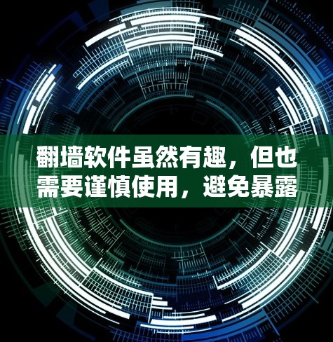 翻墙软件虽然有趣，但也需要谨慎使用，避免暴露自己。以下是一些综述了相关信息的建议
