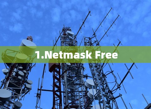 1.Netmask Free