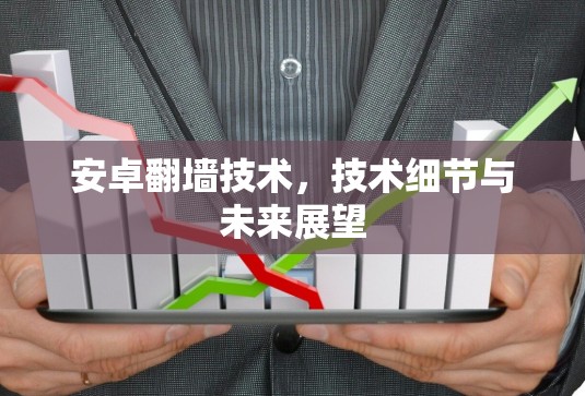 安卓翻墙技术，技术细节与未来展望