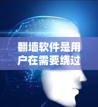 翻墙软件是用户在需要绕过网站限制时使用的工具，旨在将文件从网站上传到本地服务器后再重新上传，以避免被封禁或截屏。以下是对这些软件的详细介绍和建议