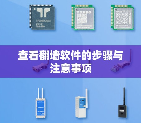 查看翻墙软件的步骤与注意事项