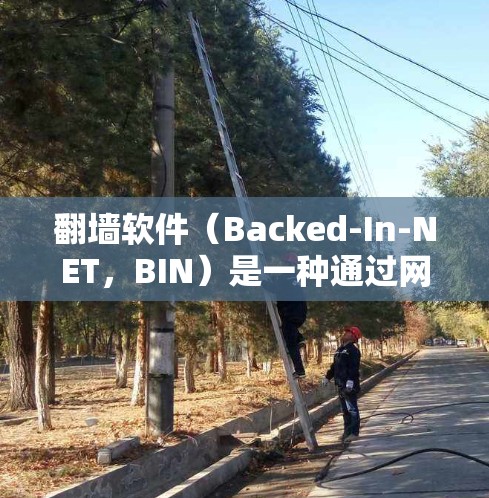 翻墙软件（Backed-In-NET，BIN）是一种通过网络设备连接到另一台设备以实现网络共享的软件。它通常用于让本地设备访问公司或组织的网络，以避免用户被限制在一个单一的网络环境中