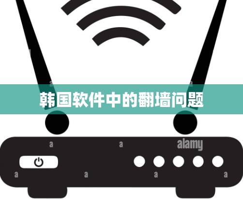 韩国软件中的翻墙问题