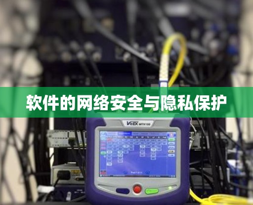 软件的网络安全与隐私保护