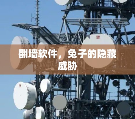 翻墙软件，兔子的隐藏威胁