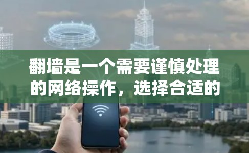 翻墙是一个需要谨慎处理的网络操作，选择合适的工具可以有效保障网络的安全性。以下是一些推荐的翻墙软件，根据不同的需求和预算进行选择