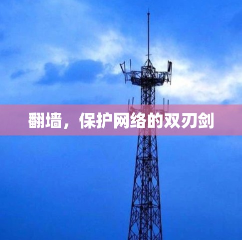 翻墙，保护网络的双刃剑