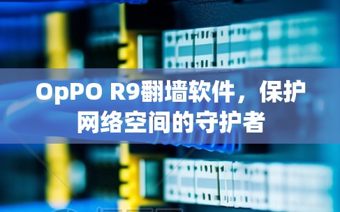 OpPO R9翻墙软件，保护网络空间的守护者