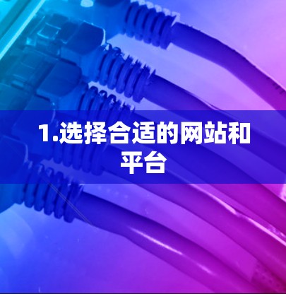 1.选择合适的网站和平台
