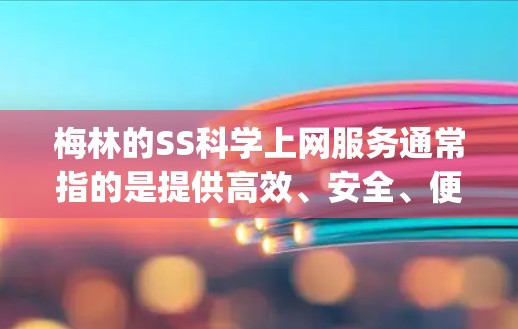 梅林的SS科学上网服务通常指的是提供高效、安全、便捷的网络解决方案，可能包括点对点连接、带宽共享、云连接、实时视频 conferencing、云存储和云技术等。以下是一些可能的使用场景和考虑因素
