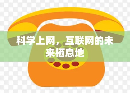 科学上网，互联网的未来栖息地