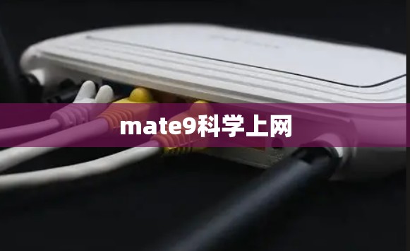 mate9科学上网