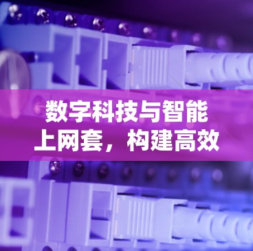 数字科技与智能上网套，构建高效、安全的网络架构