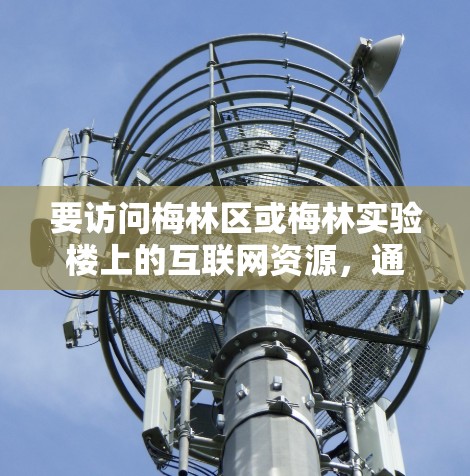 要访问梅林区或梅林实验楼上的互联网资源，通常需要通过以下步骤