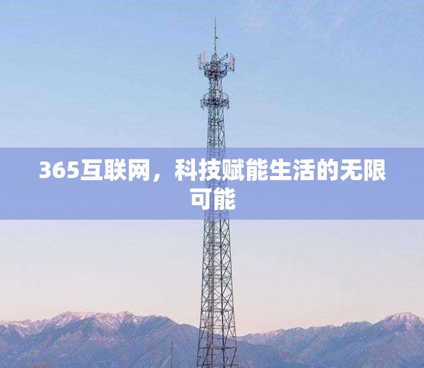 365互联网，科技赋能生活的无限可能