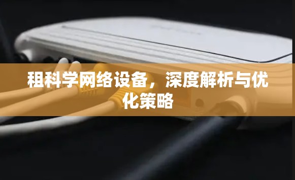 租科学网络设备，深度解析与优化策略