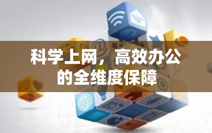 科学上网，高效办公的全维度保障