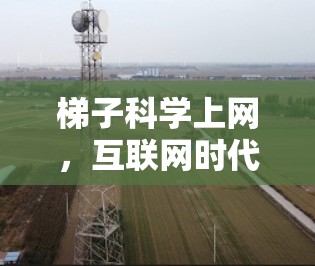 梯子科学上网，互联网时代科学探索的新路径