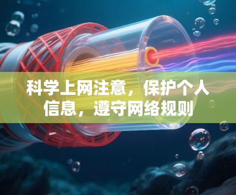 科学上网注意，保护个人信息，遵守网络规则