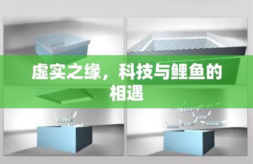 虚实之缘，科技与鲤鱼的相遇