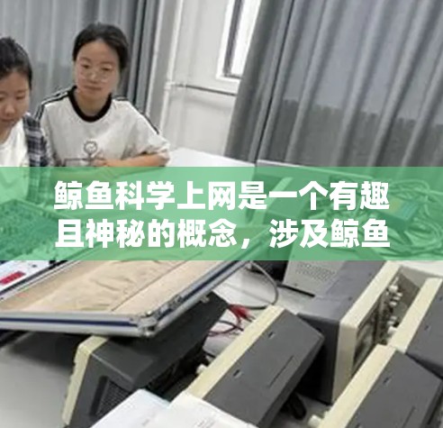 鲸鱼科学上网是一个有趣且神秘的概念，涉及鲸鱼在科学领域中的特殊应用。以下是对此问题的详细分析
