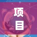 项目Fi科学上网系统概述