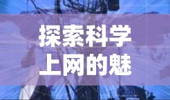 探索科学上网的魅力，ASUS在高效通信领域的创新