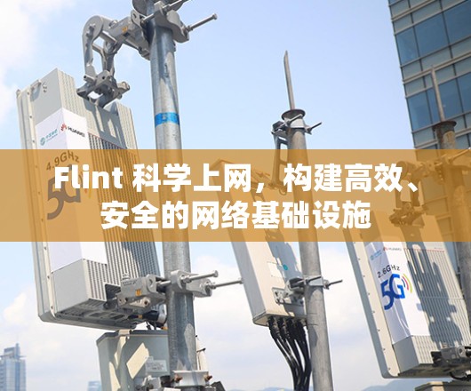 Flint 科学上网，构建高效、安全的网络基础设施