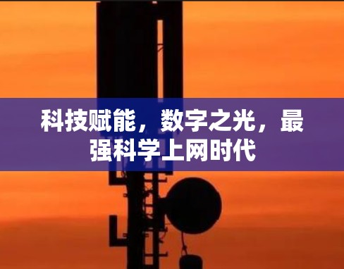 科技赋能，数字之光，最强科学上网时代