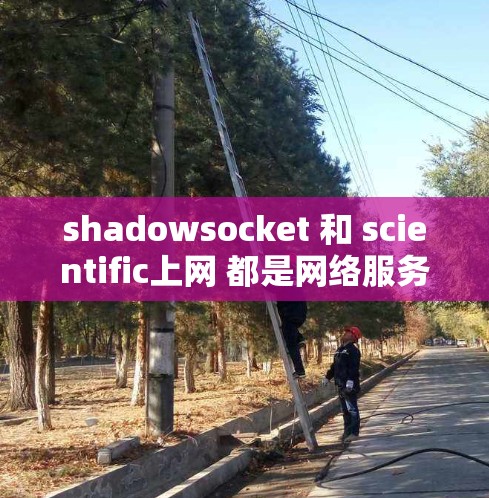 shadowsocket 和 scientific上网 都是网络服务，各有其独特的功能和适用场景。以下是对它们的详细比较