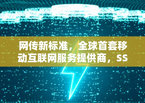 网传新标准，全球首套移动互联网服务提供商，SSTAP 网络服务协议