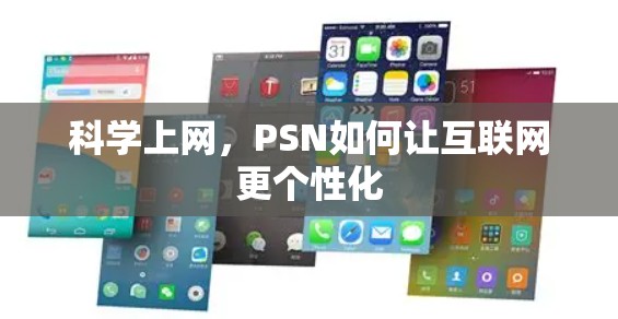 科学上网，PSN如何让互联网更个性化