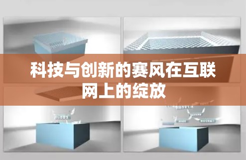 科技与创新的赛风在互联网上的绽放