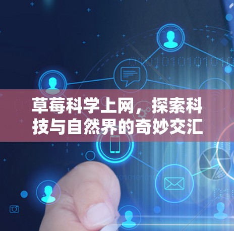 草莓科学上网，探索科技与自然界的奇妙交汇