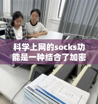 科学上网的socks功能是一种结合了加密、隐私保护和恶意检测的技术，旨在通过隐藏请求和处理特定数据来保护用户隐私，并防止恶意软件攻击。以下是对其工作的详细分析