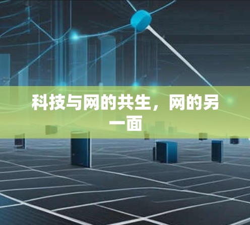 科技与网的共生，网的另一面