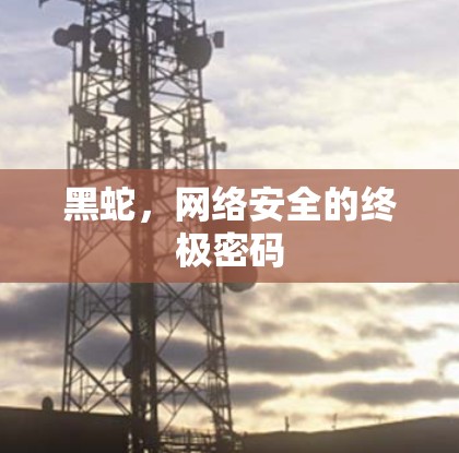 黑蛇，网络安全的终极密码