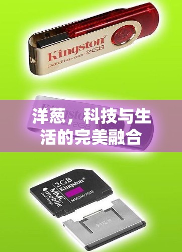 洋葱，科技与生活的完美融合