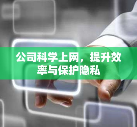 公司科学上网，提升效率与保护隐私