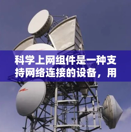 科学上网组件是一种支持网络连接的设备，用于运行科学计算和数据分析软件。以下是关于科学上网组件的详细信息