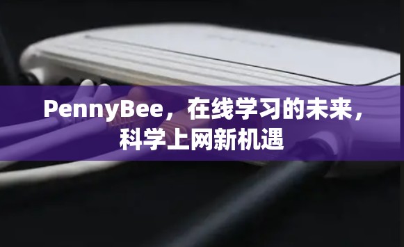 PennyBee，在线学习的未来，科学上网新机遇