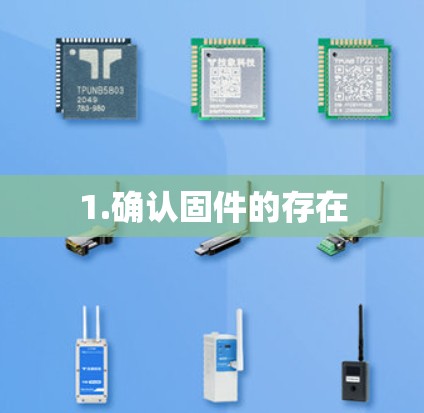 1.确认固件的存在
