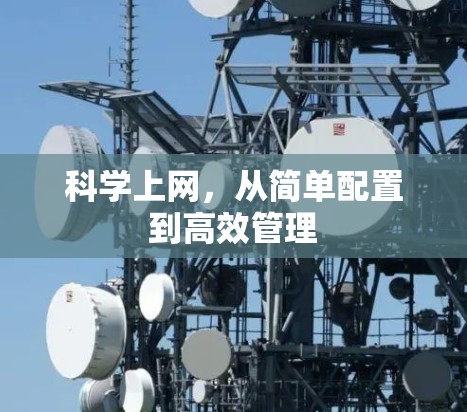 科学上网，从简单配置到高效管理