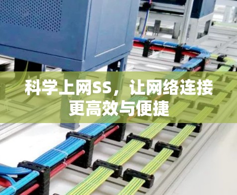 科学上网SS，让网络连接更高效与便捷