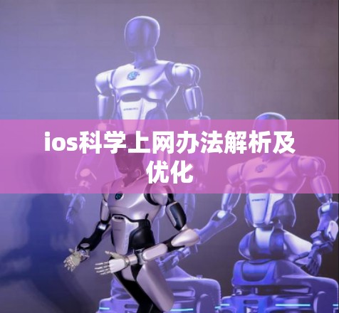 ios科学上网办法解析及优化