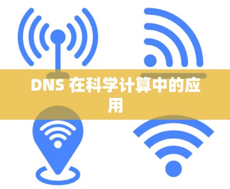 DNS 在科学计算中的应用