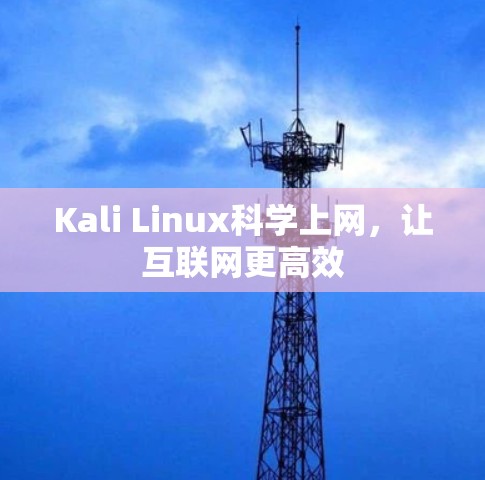Kali Linux科学上网，让互联网更高效