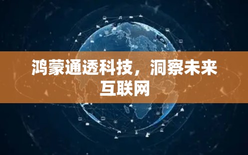 鸿蒙通透科技，洞察未来互联网