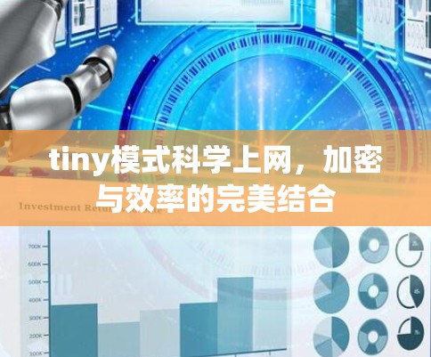 tiny模式科学上网，加密与效率的完美结合